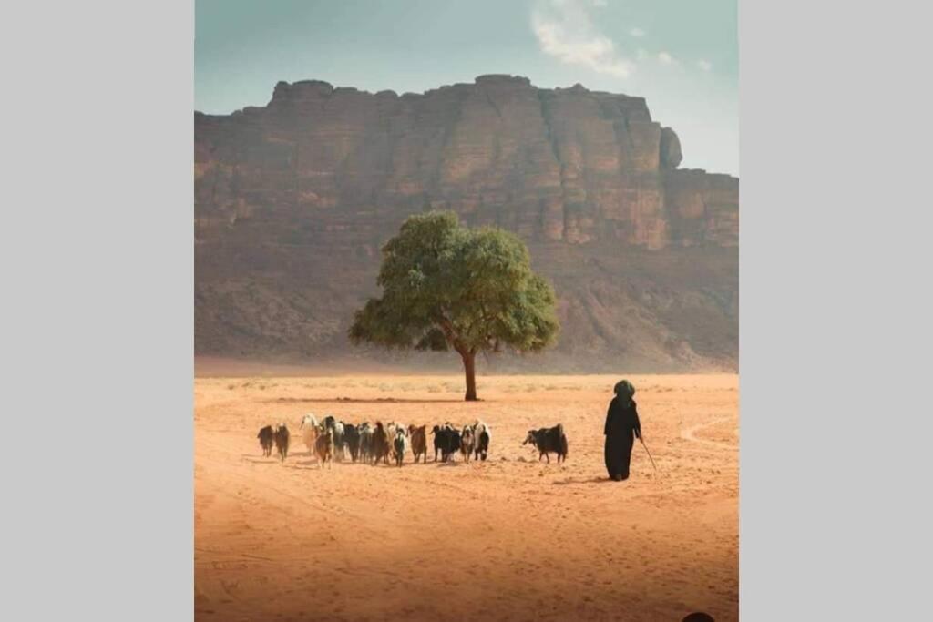 Bedouin Nature Travels วาดี มูซา ภายนอก รูปภาพ