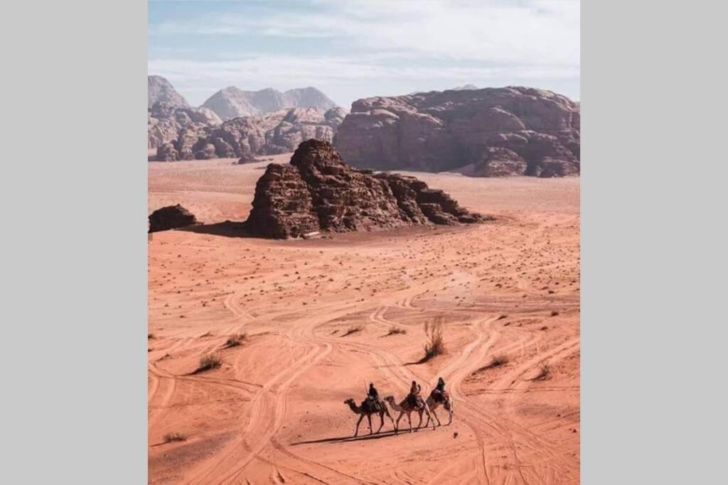 Bedouin Nature Travels วาดี มูซา ภายนอก รูปภาพ