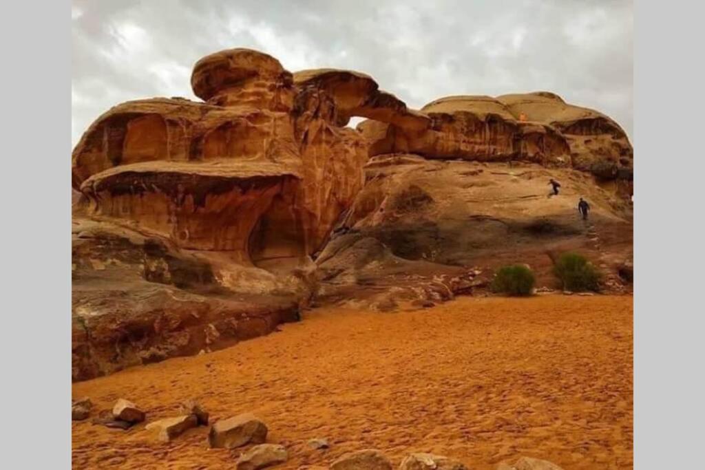 Bedouin Nature Travels วาดี มูซา ภายนอก รูปภาพ