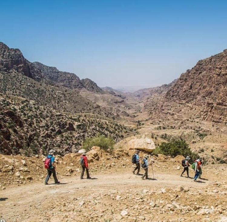Bedouin Nature Travels วาดี มูซา ภายนอก รูปภาพ