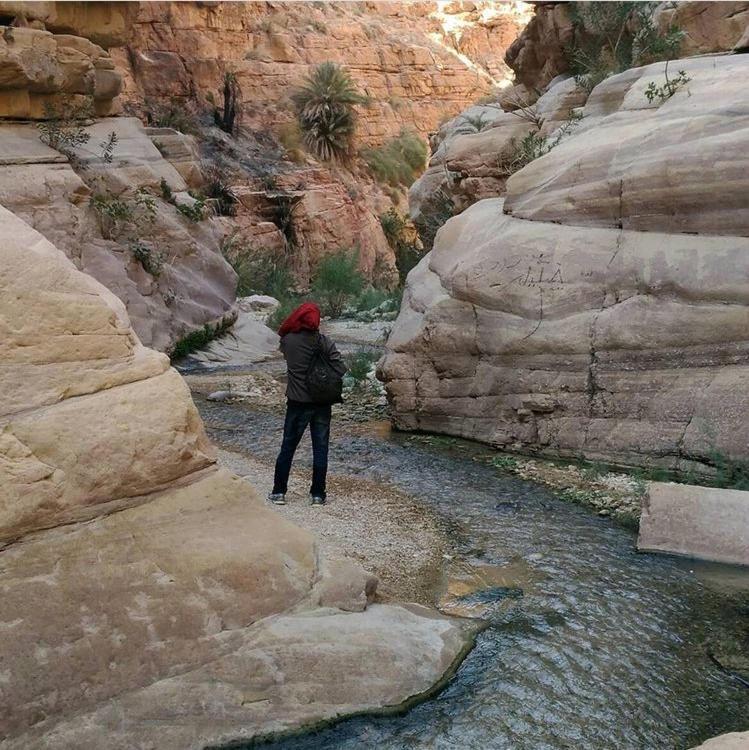Bedouin Nature Travels วาดี มูซา ภายนอก รูปภาพ
