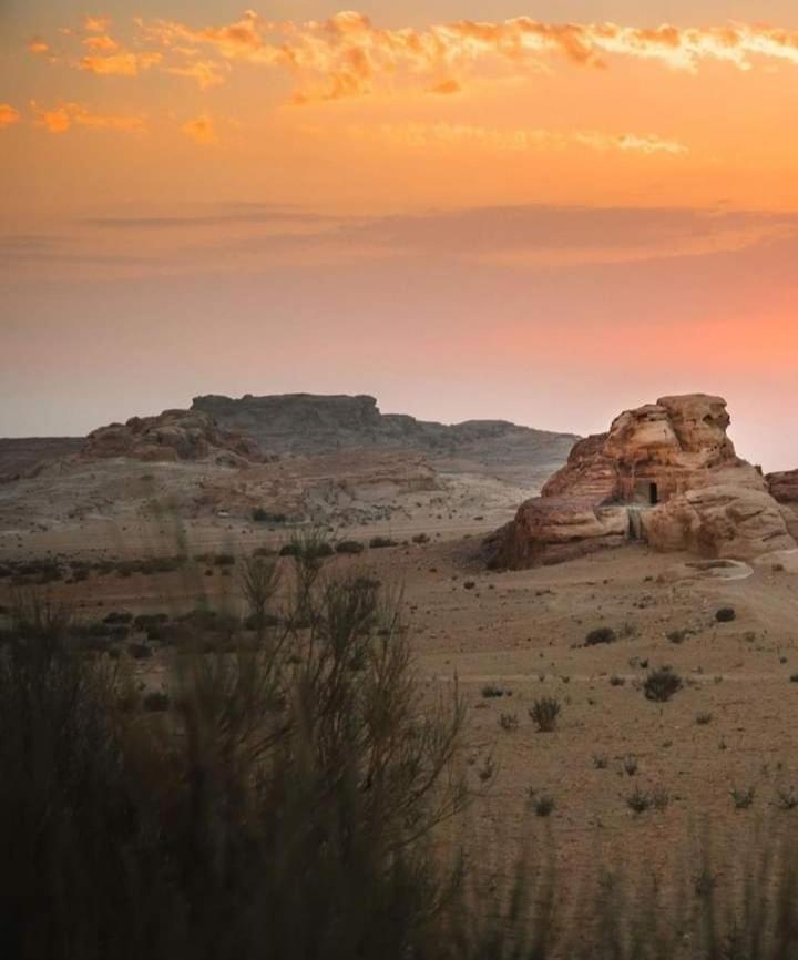 Bedouin Nature Travels วาดี มูซา ภายนอก รูปภาพ