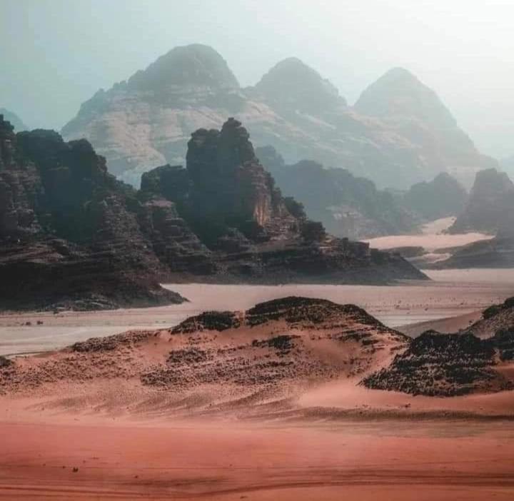 Bedouin Nature Travels วาดี มูซา ภายนอก รูปภาพ
