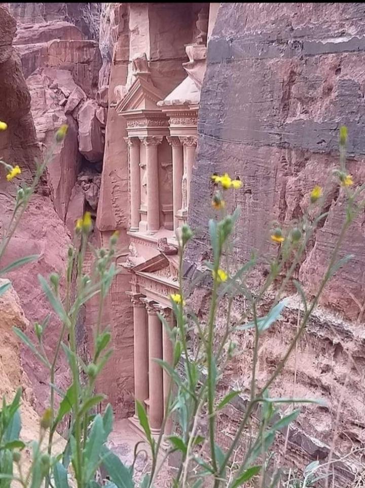 Bedouin Nature Travels วาดี มูซา ภายนอก รูปภาพ