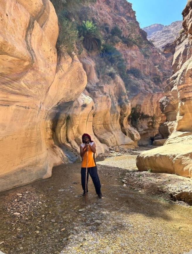 Bedouin Nature Travels วาดี มูซา ภายนอก รูปภาพ
